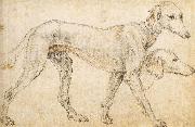 Studies of a Greyhound